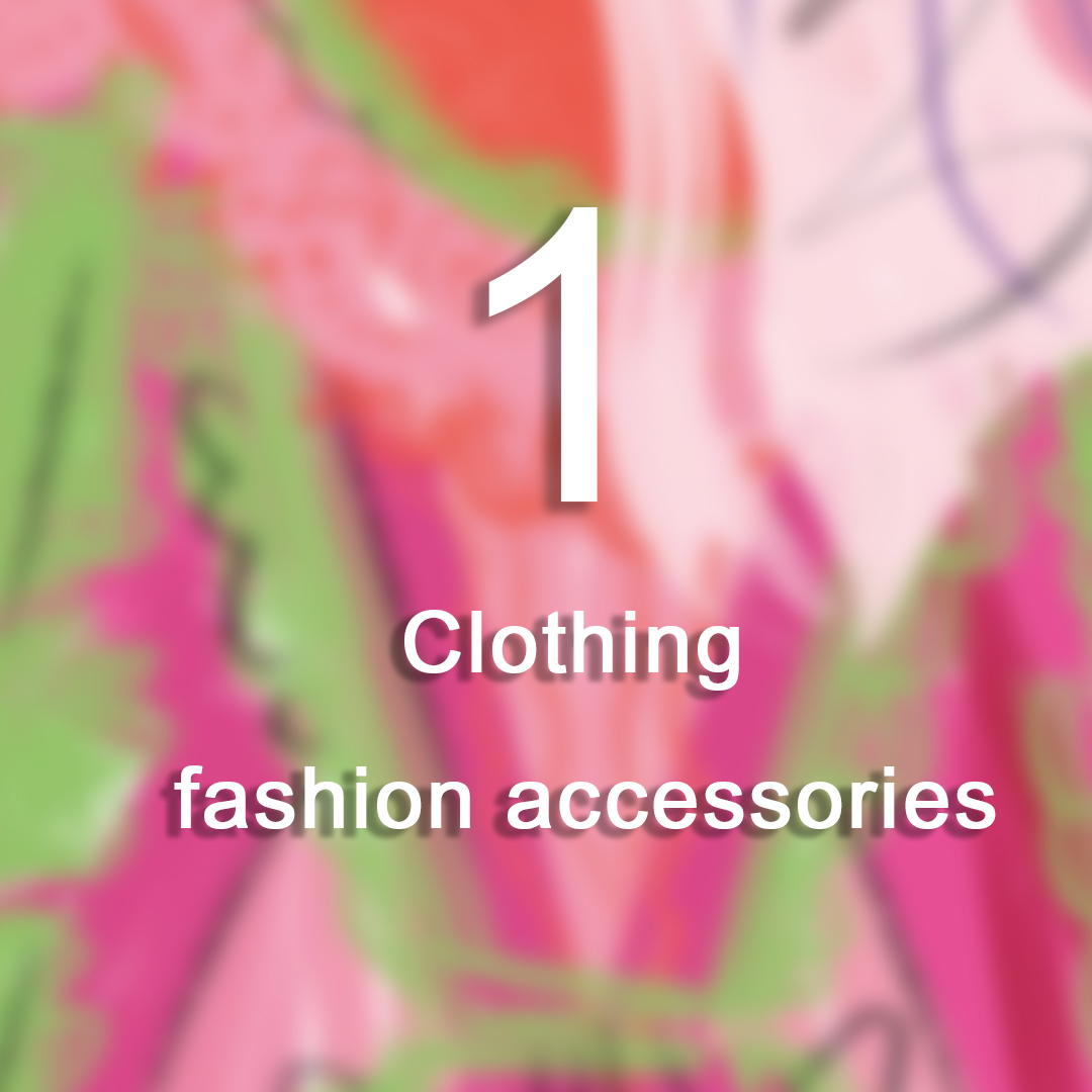 1 Clothing fashion accessories